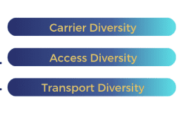 Three lines reading: Carrier diversity, access diversity and transport diversity